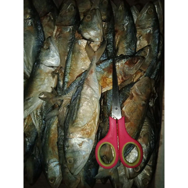 

Ikan Pedo/ikan Kukai kering (100gr)