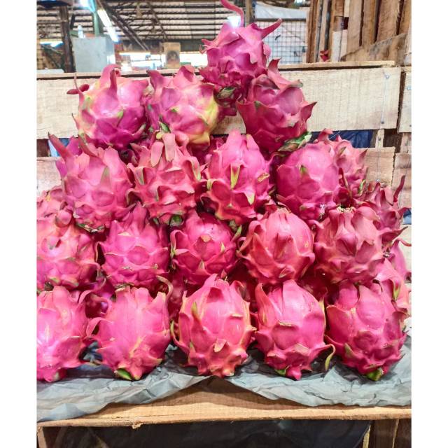 

Buah Naga Segar Per Kg