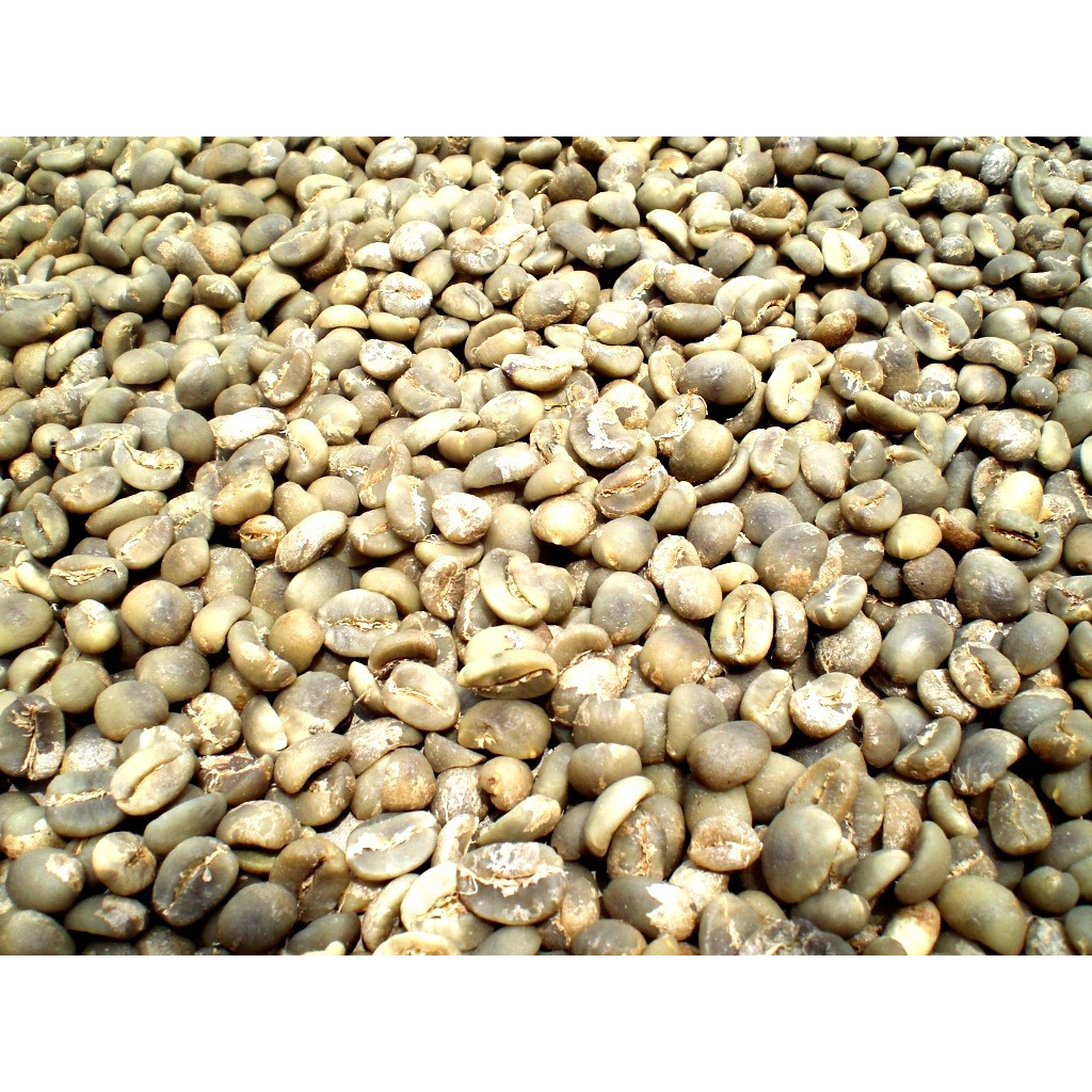 Jual Green Bean Kopi Luwak Liar Kualitas Tinggi (1kg)