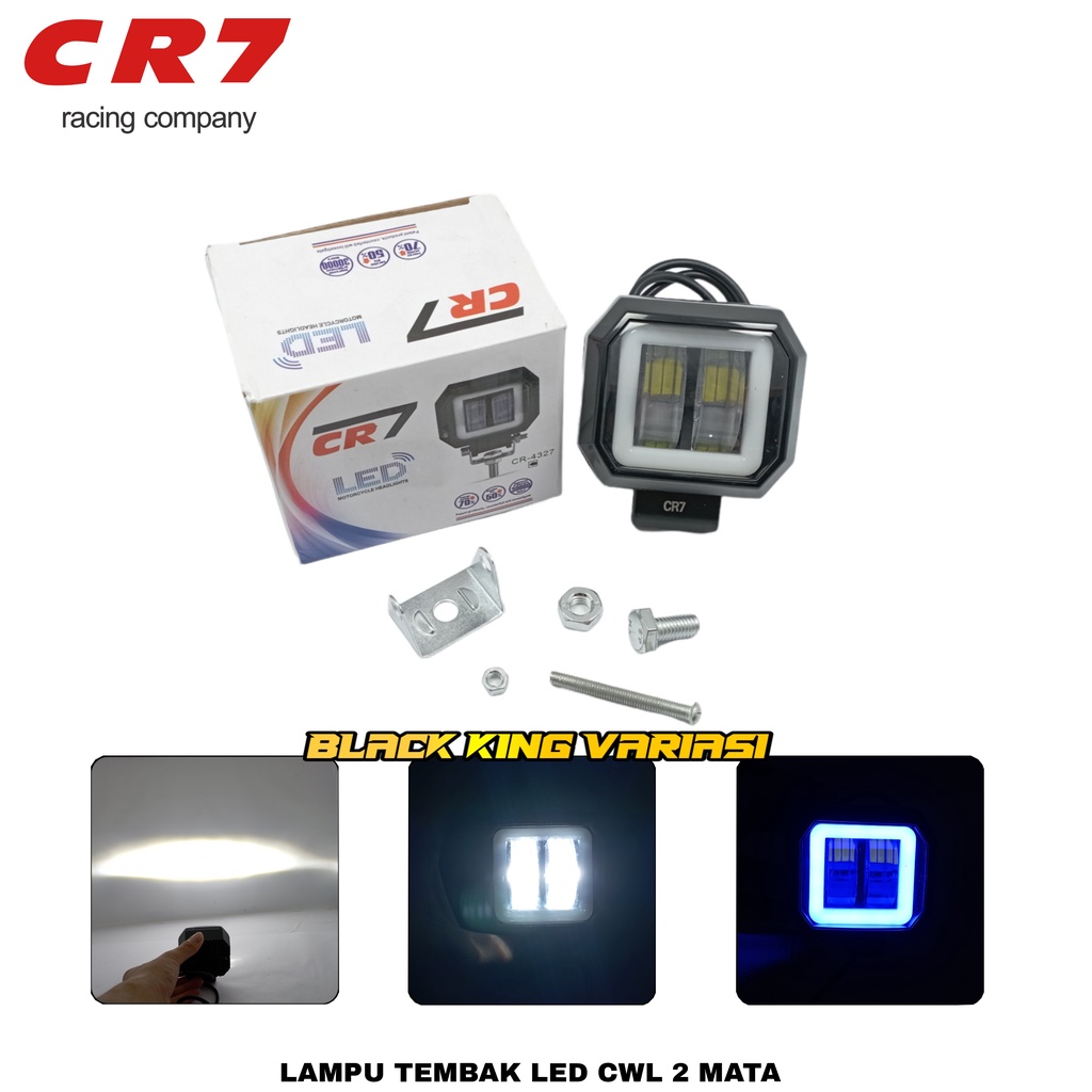 Lampu tembak sorot LED CWL 2 mata lensa 4D 20watt cree Model AE Kotak