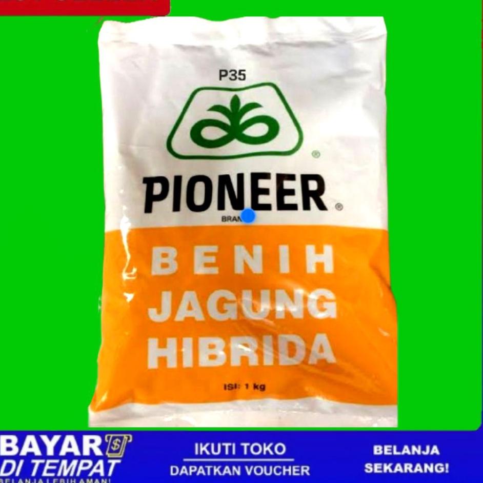 ✔ [ PROMO ] 1KG | benih jagung pioneer hibrida P35 1KG murah