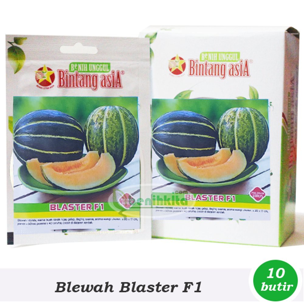 Benih-Bibit Blewah Blaster F1- Bintang Asia Limited