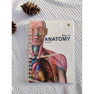 Jual Medical Mini Notes Atlas Of Anatomy | MMN Anatomi | Atlas Anatomi ...