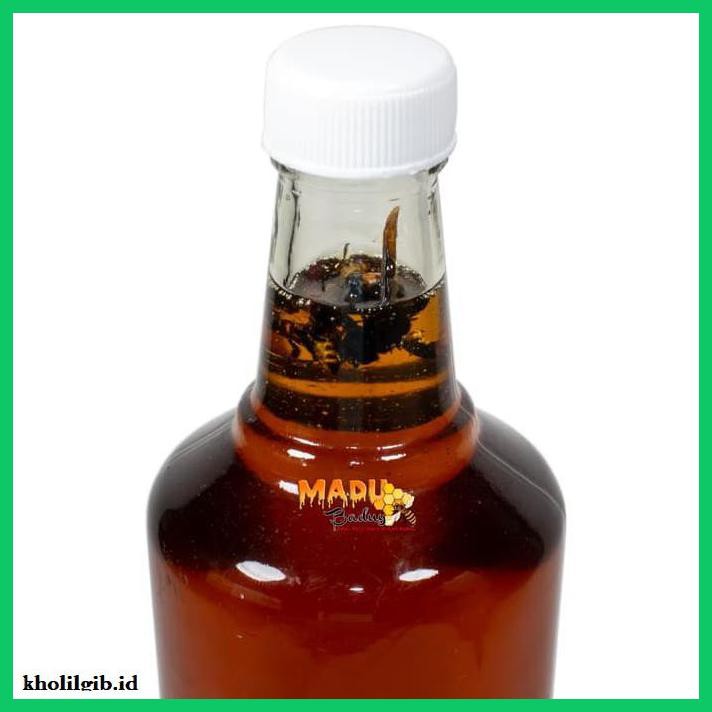 

MADU-MINUMAN- MADU MANIS ASLI MURNI ODENG HUTAN BADUY NUSANTARA PENYUBUR DIET 600ML -ASLI-BUKAN-