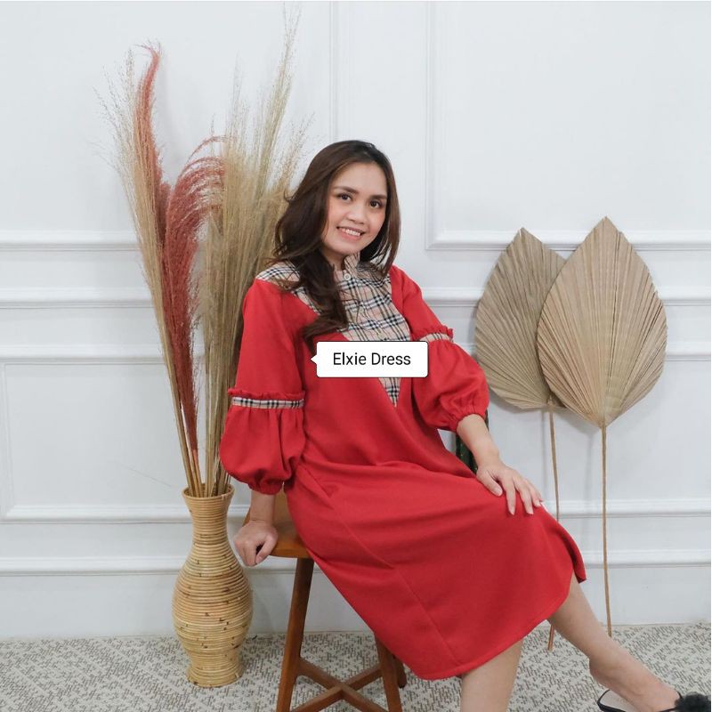 Elxie Dress (Busui Friendly)