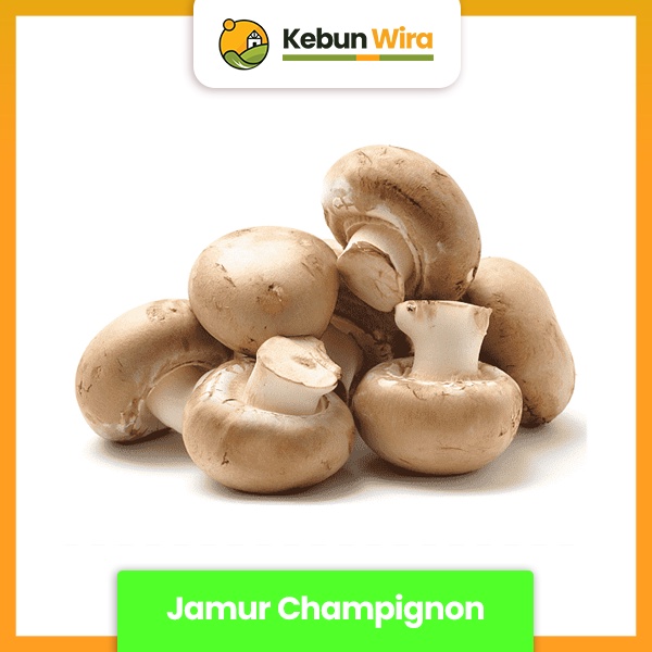 Jamur | Champignon Mushroom Fresh