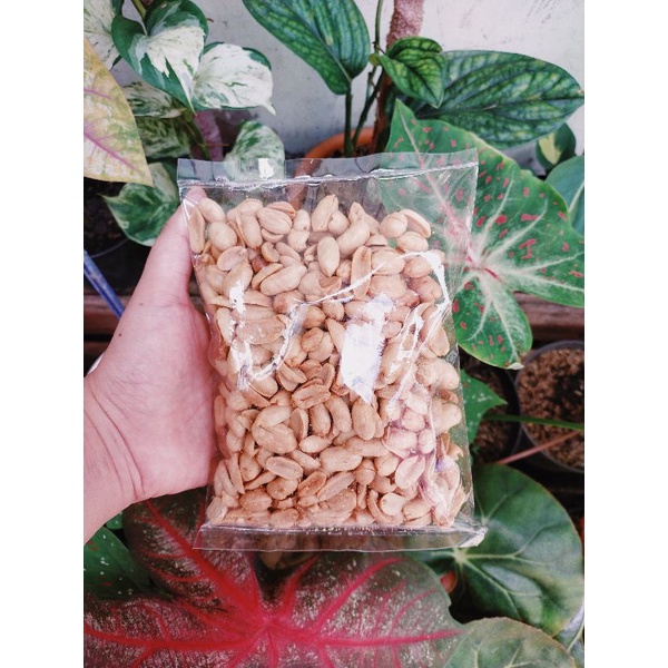 

Kacang Bali original 250gr