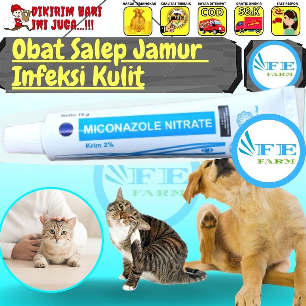 Obat Salep Miconazole Nitrate 10g Jamur Luka Infeksi Kucing Anjing Non Scabies Derma FEFARM