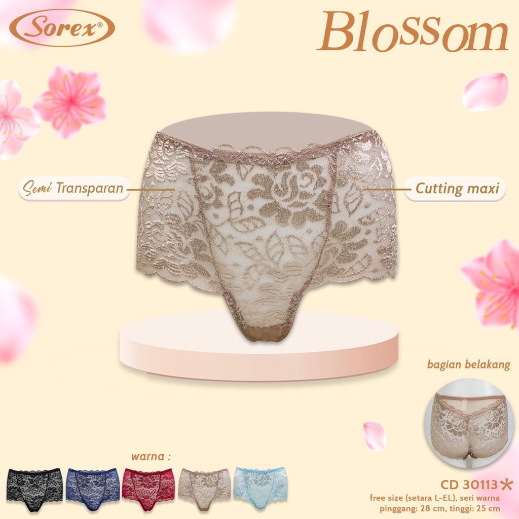 Celana Dalam Wanita Sorex  Sexy Semi Transparan Free Size Fit to L-EL/Celana Dalam Renda/CD Brokat