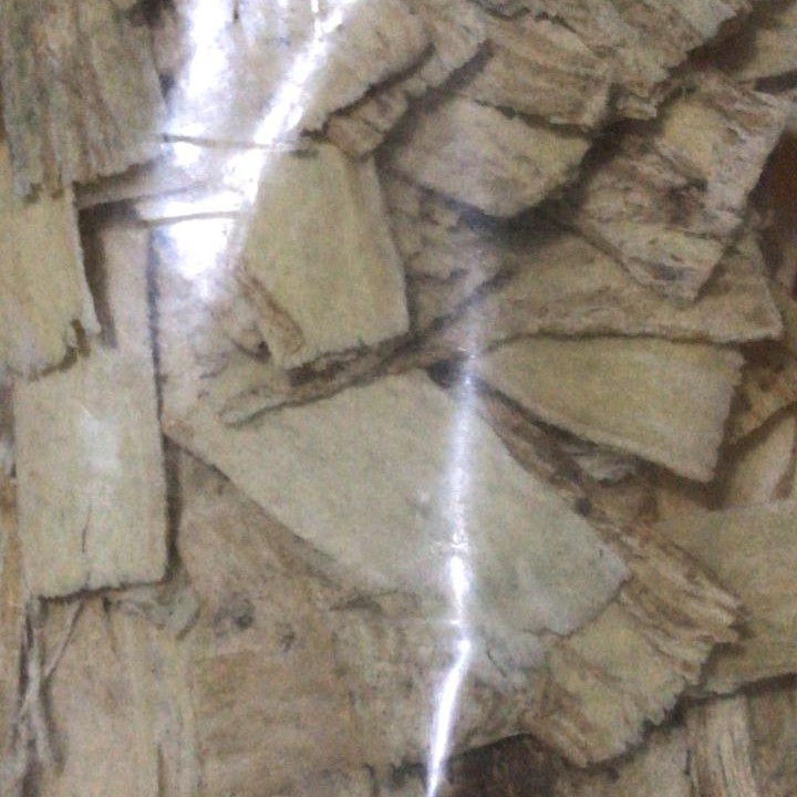 

500gr Huang qi 黄芪片 Radix Astragali herbal
