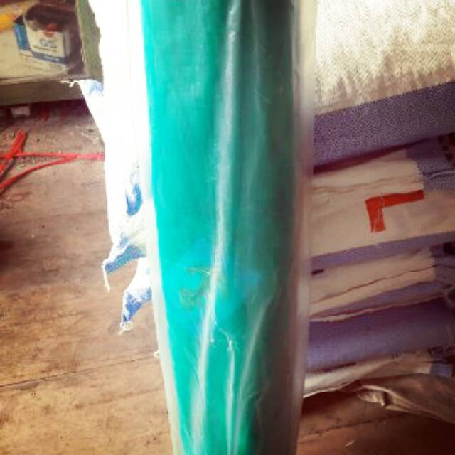 Kasa hijau kasa nyamuk kasa ikan kasa pagar waring hijau waring ikan