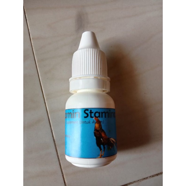 vitamin stamina ayam