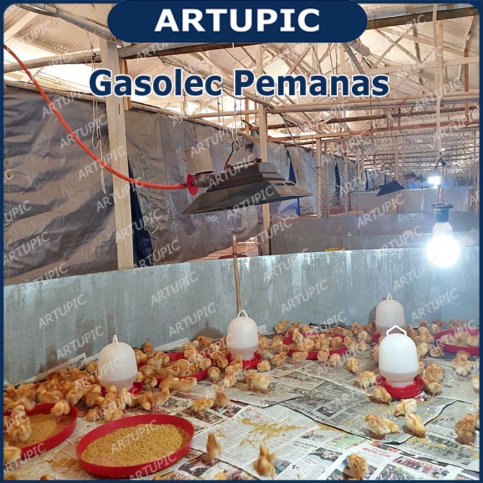 Gasolec M8 Pemanas Kandang Ayam Infrared Gas Brooder Heater Kualitas Diatas rikte medion emstar igm