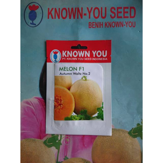 Benih Melon Madu Kuning AUTUMN WALTZ F1 Isi 8biji