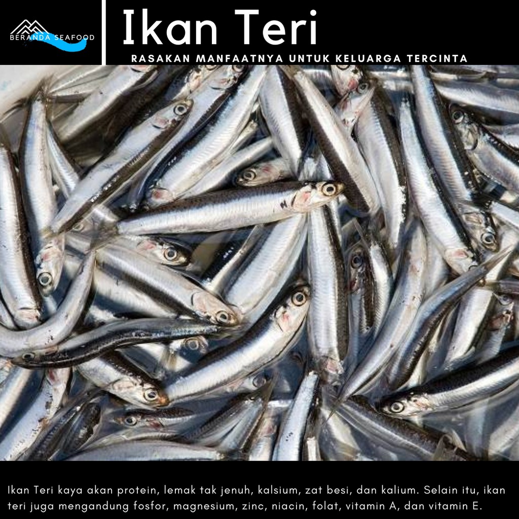 

Ikan Teri Segar (kualitas super premium)