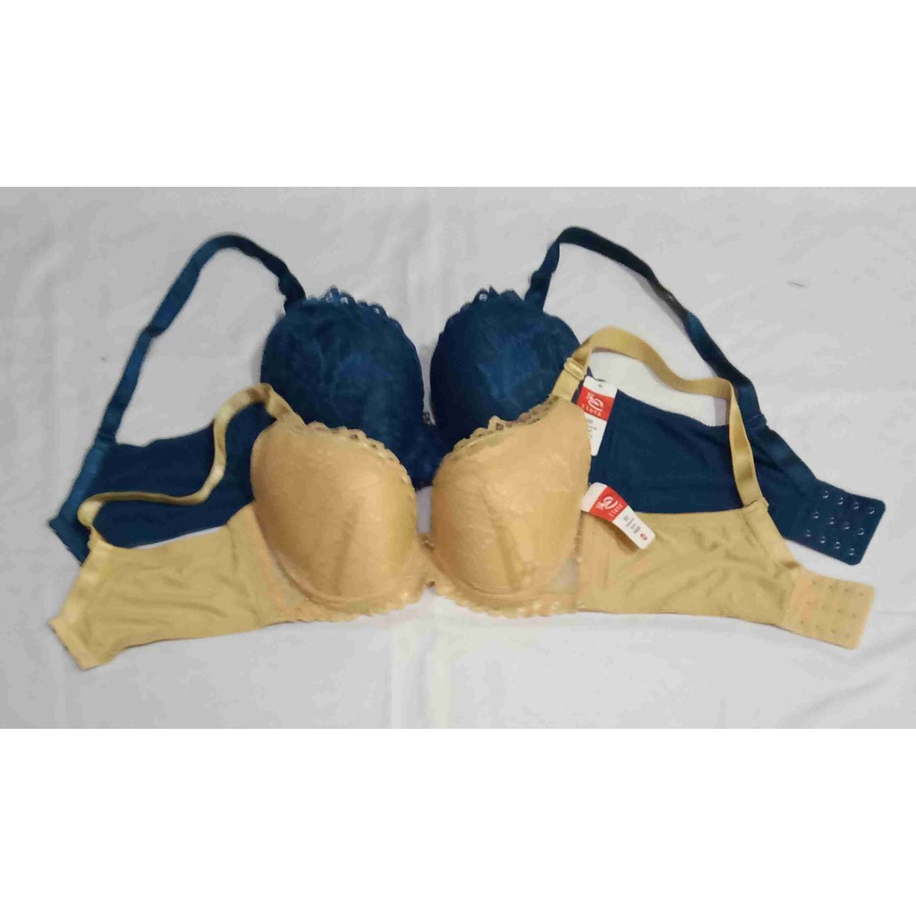 Bra Elena Cup Besar (Cup D) (BH E24448)