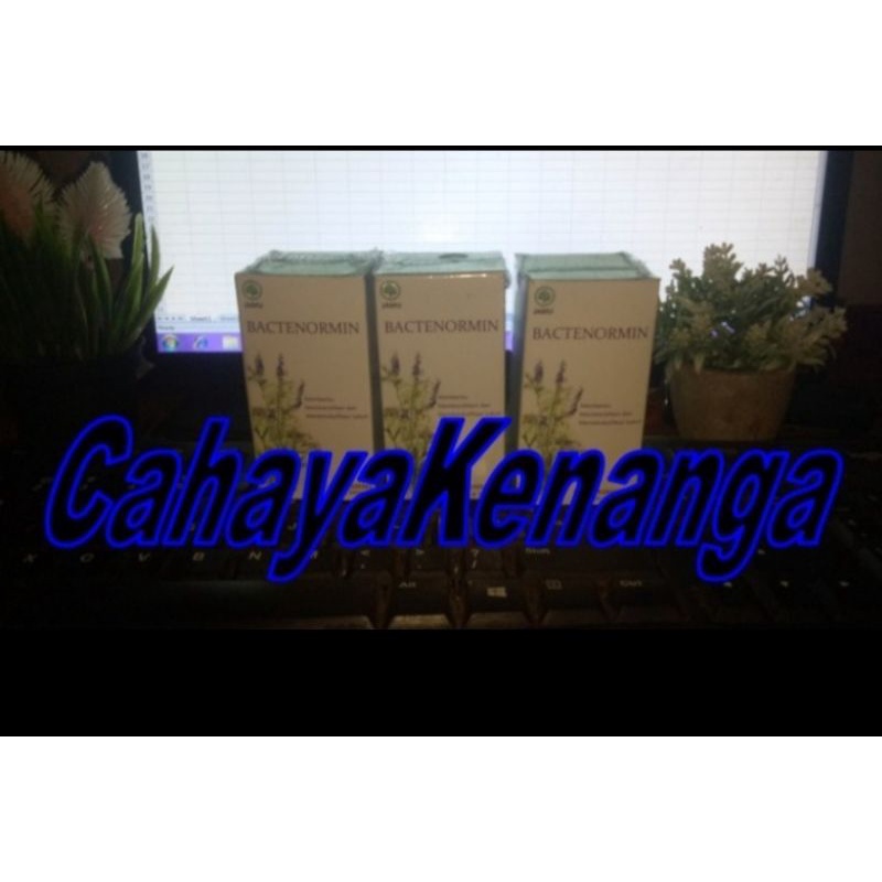 Bactenormin Pembersih Parasit Original