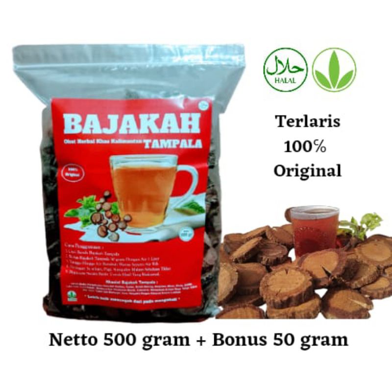 Akar Bajakah Kayu Bajakah Asli Kalimantan Bajakah Asli Kalimantan Kayu Bajakah Bajakah Tampala