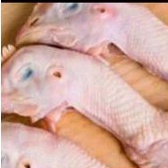 

Kepala Ayam