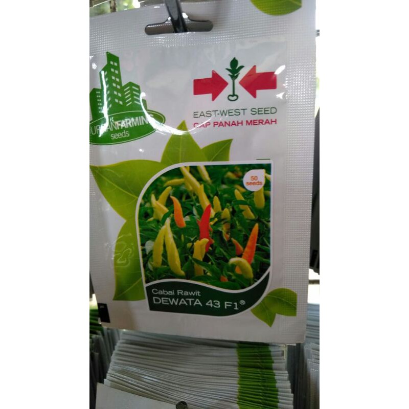 ISI 50 CABE RAWIT DEWATA 43 F1