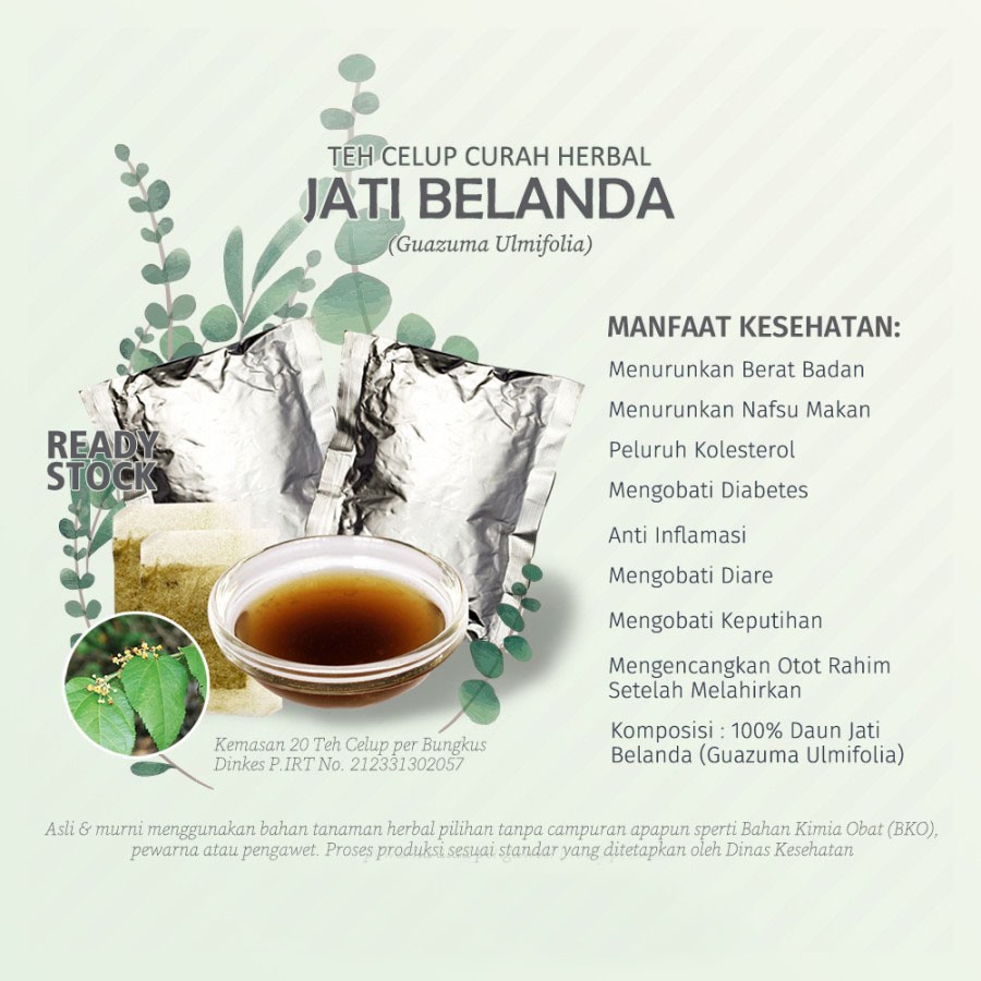 

Teh Celup Herbal Daun Jati Londo Jatos Landi Jati Belanda Guazuma Ulmifolia