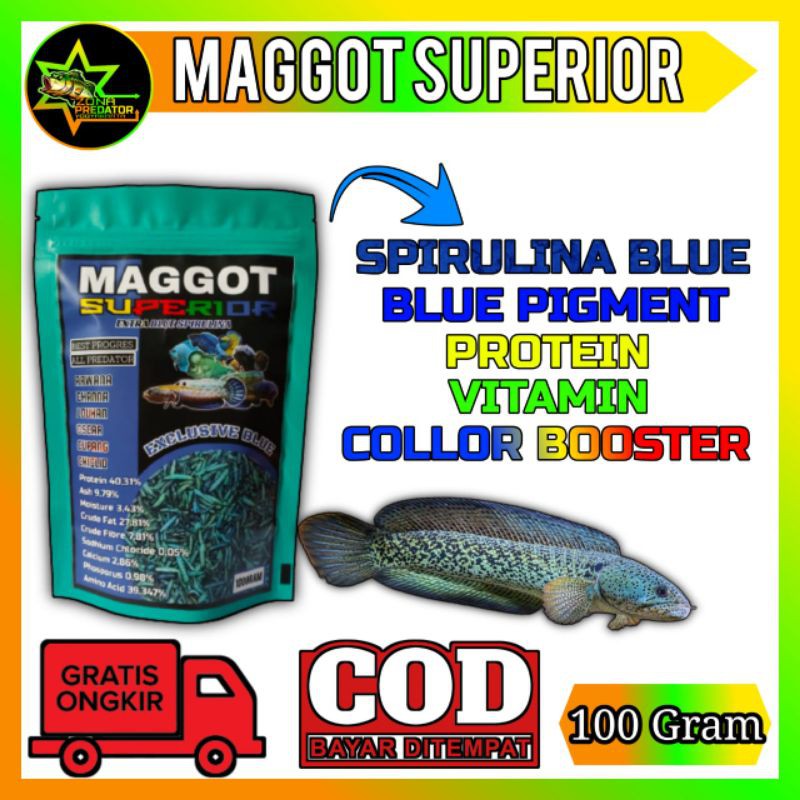 Pakan  pulchra MAGGOT BLUE SUPERIOR