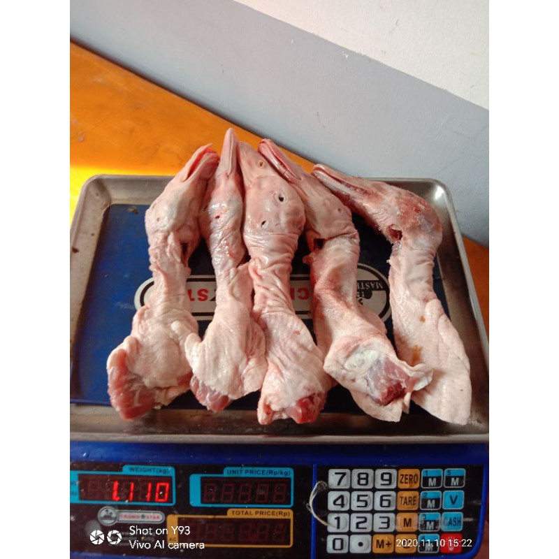 

kepala bebek jumbo murah