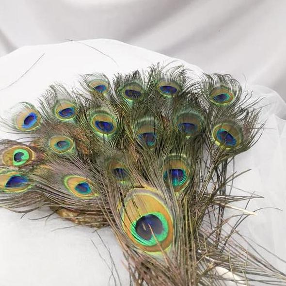 77 Gambar Kolase Burung Merak Dari Daun Kering HD