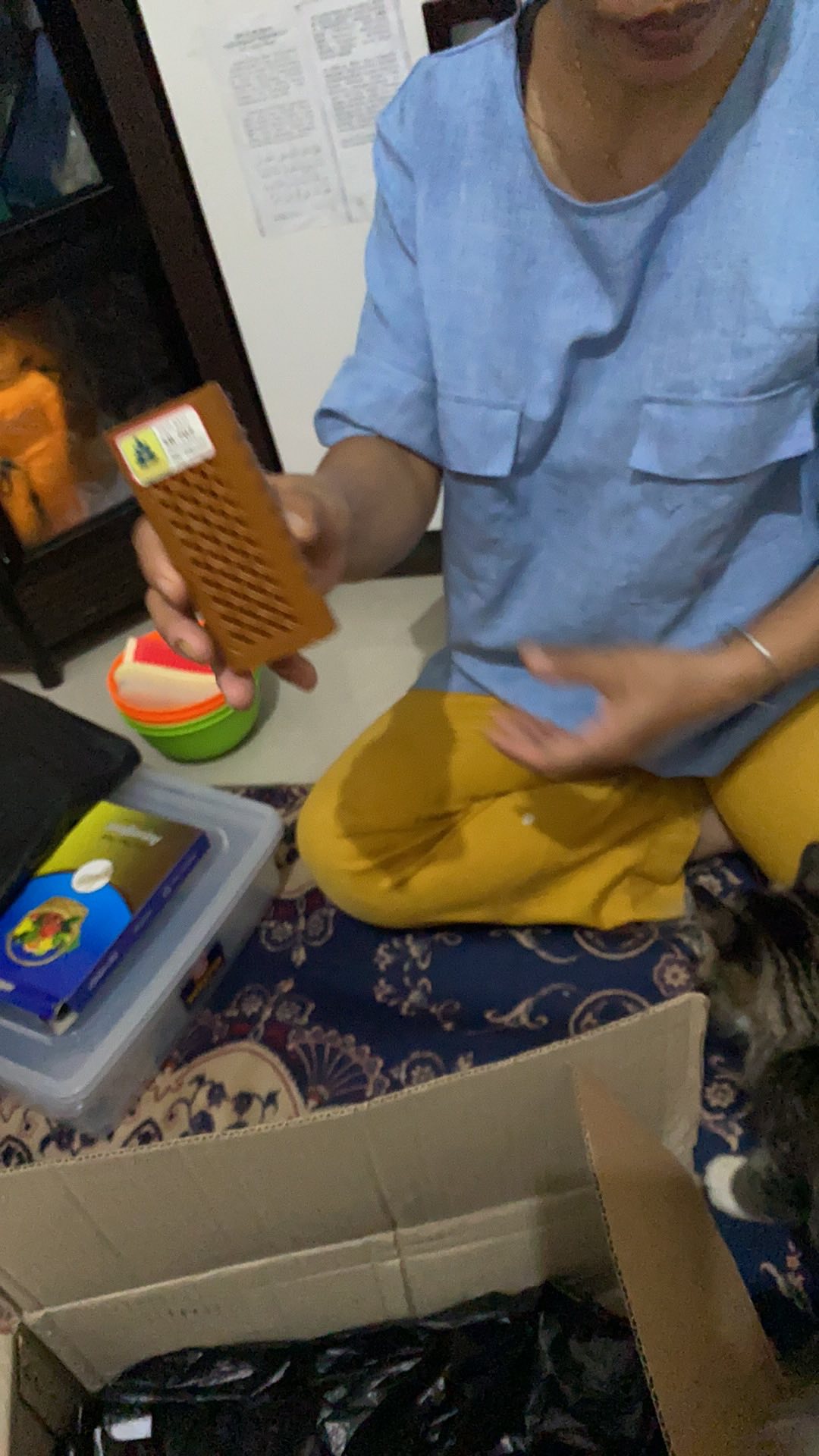 Sikat Baju Plastik / Sikat Lantai Plastik / Sikat Plastik / Sikat Baju Zamia Leaf Sb-707