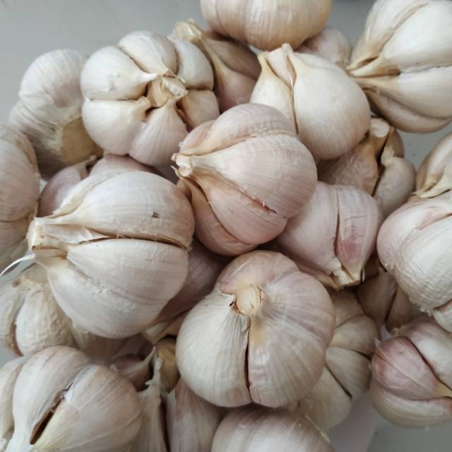 

Bawang kating tua kering kwalitas super 500gr