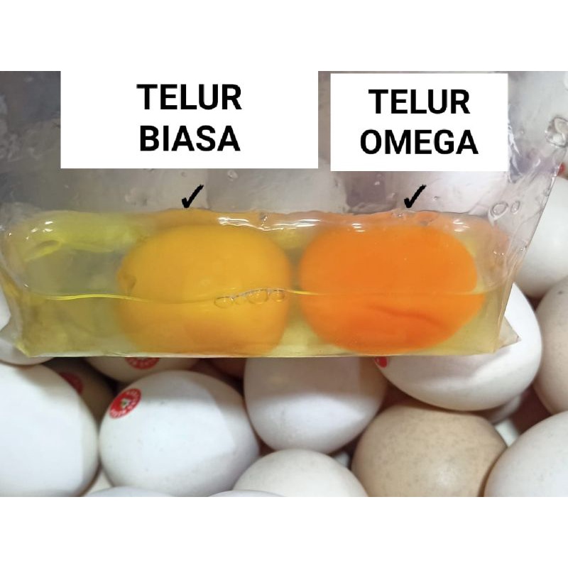 telur kampung omega.