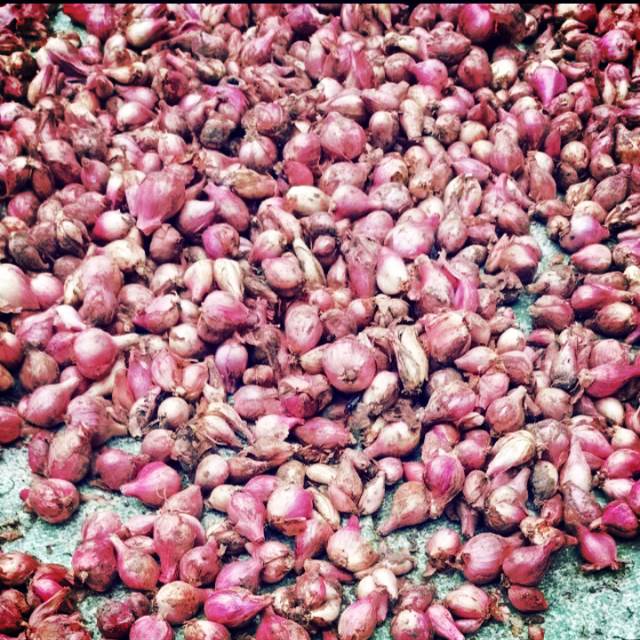 

Bawang merah super