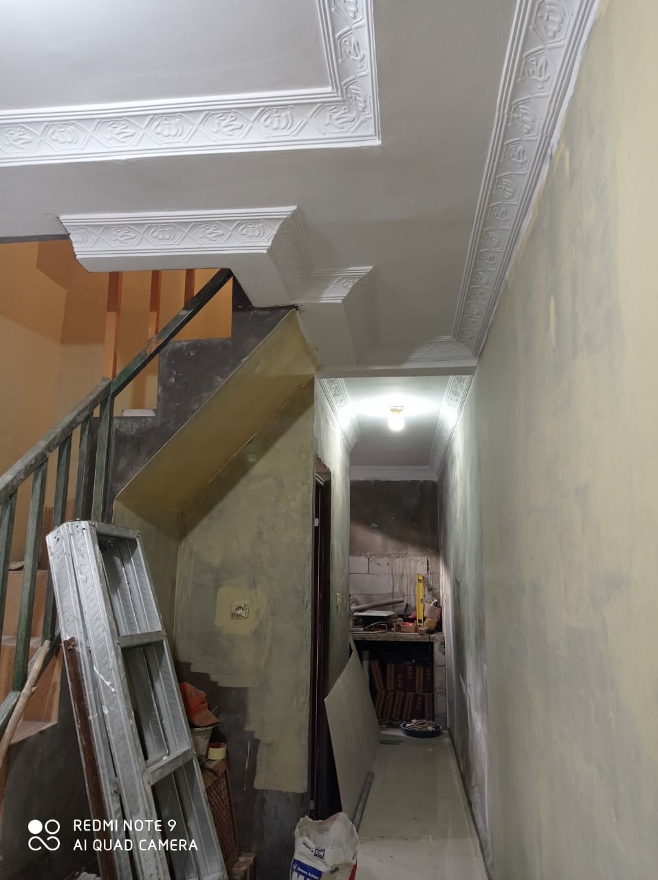 Cat Tembok Aries (4.5 Kg)