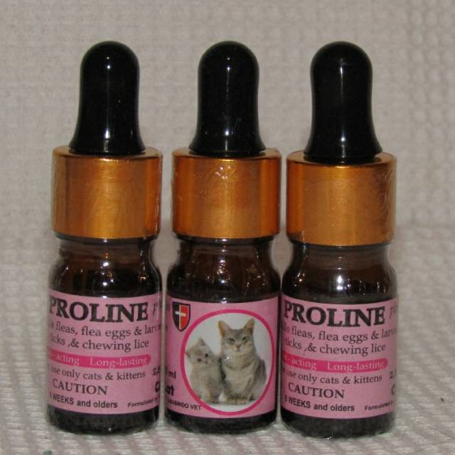 Hasil gambar untuk proline cat