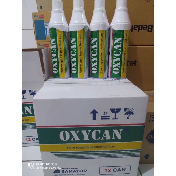 oksigen portable 500cc