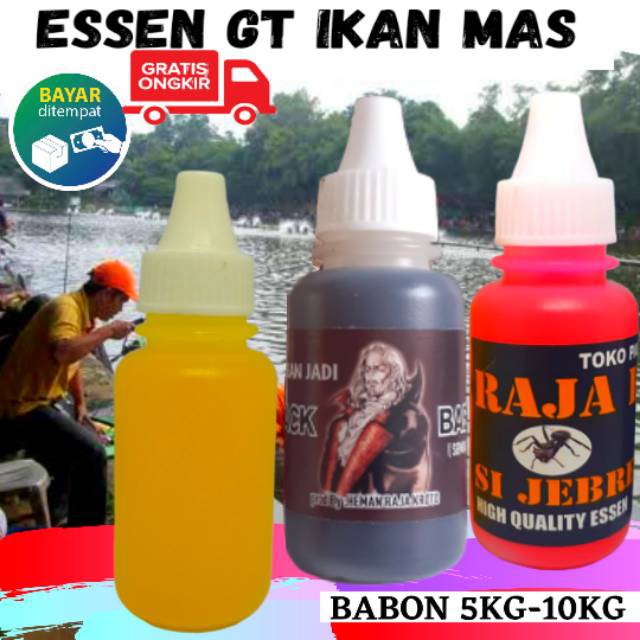 Essen galatama ikan mas,essen ikan mas indukan,essen jitu mancing galatama ikan mas babon dan total