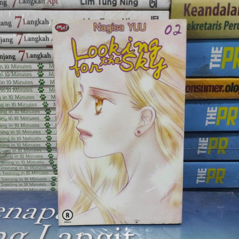 KOMIK ORIGINAL LOOKING FOR THE SKY 2 NAGISA YUU