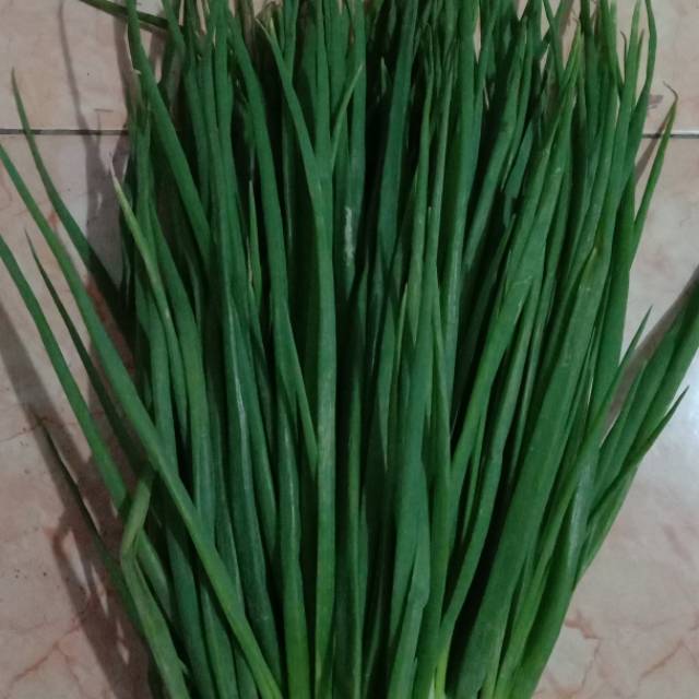 

Daun bawang sayur bandung