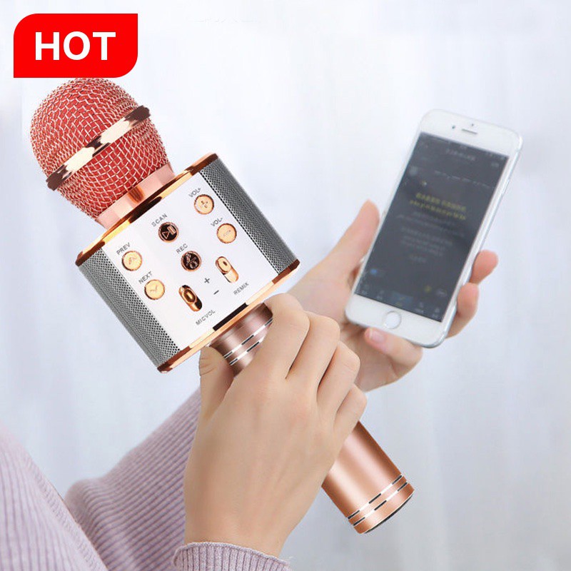 Mic Karaoke Portable