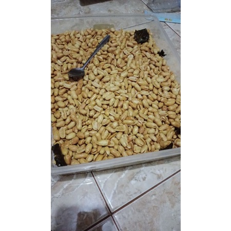 

kacang Bawang