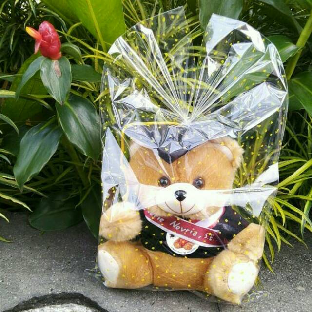 Boneka Wisuda Medium | Free Plastik Kemasan