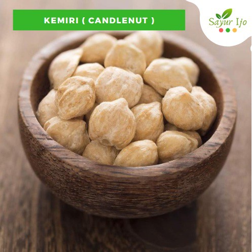 

Kemiri Bulat 100 Gram Fresh Whole Candlenut Kupas Biji Utuh Sayur Hijau Segar Bumbu Rempah