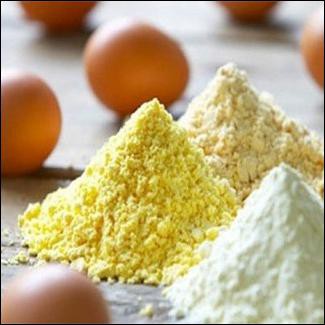 

EGG YOLK POWDER 1KG / TEPUNG KUNING TELUR 1KG