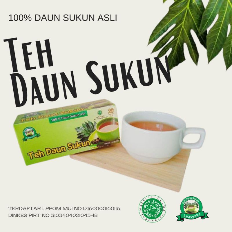 COD Teh Daun Sukun Murni Asli Laasyaka Kualitas Terjamin Herbal Penghancur Batu Ginjal