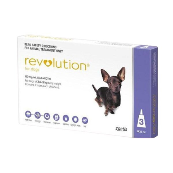 Revolution Dog Purple 5.1-10 lbs Obat Kutu Anjing 2.5-5 kg Dogs Kecil