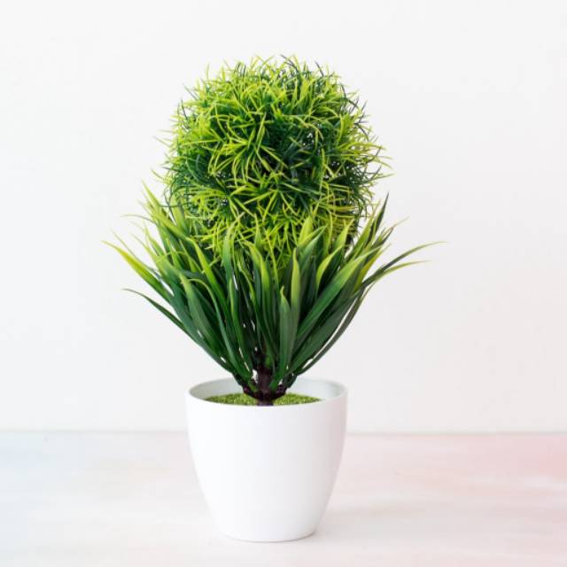 Bundara.id Pr-635  ( Size 25x16 ) Bunga hias + pot cantik bonsai bulat import