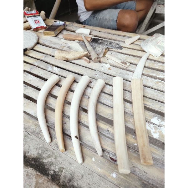 igduy belimbing dan pucuk