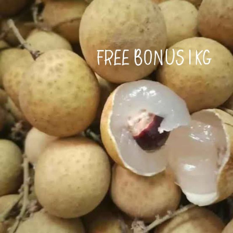

lengkeng