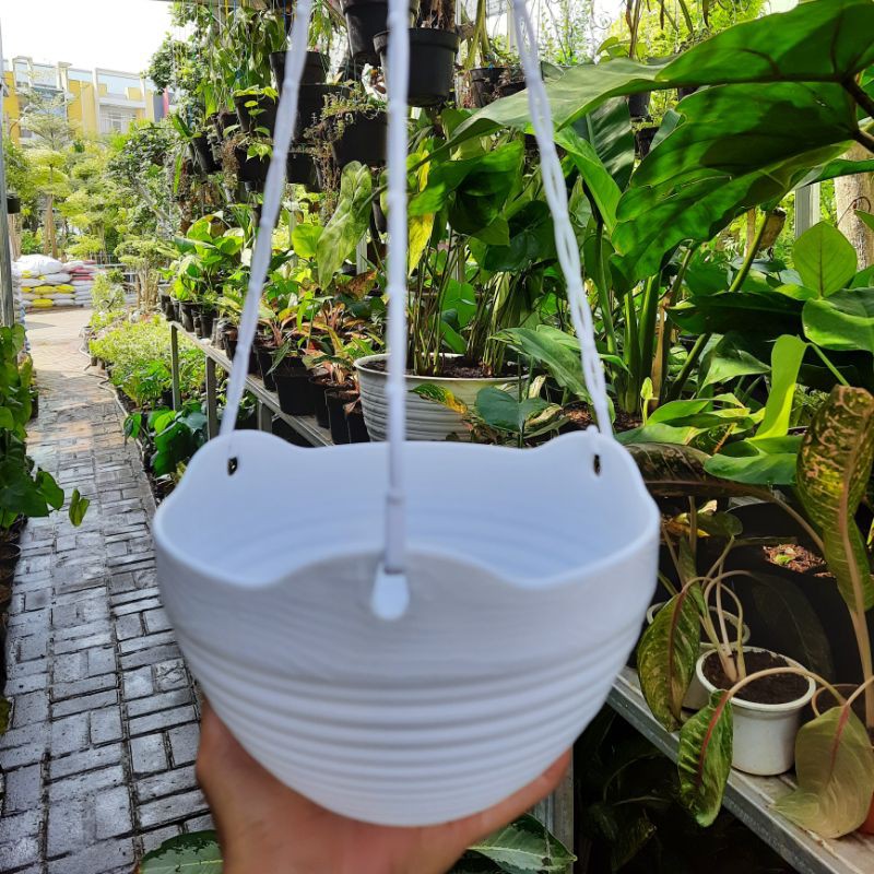 POT BUNGA GANTUNG LOVENIA GGS 8852 PUTIH / POT PLASTIK