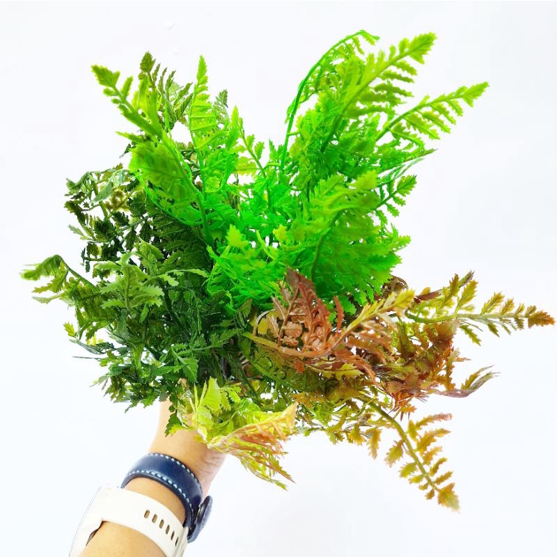 Daun Plastik Pakis Leatherleaf Fern Tanaman Paku AL25  Artifisial Dekorasi Bouquet Wedding